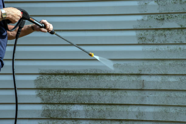 Best Roof Power Washing Services  in Flowery Branch, GA
