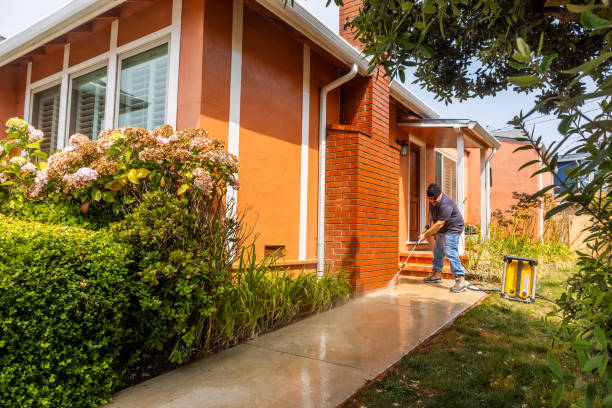 Best Roof Pressure Washing  in Flowery Branch, GA