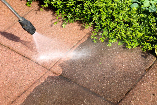 Best Fence Pressure Washing  in Flowery Branch, GA